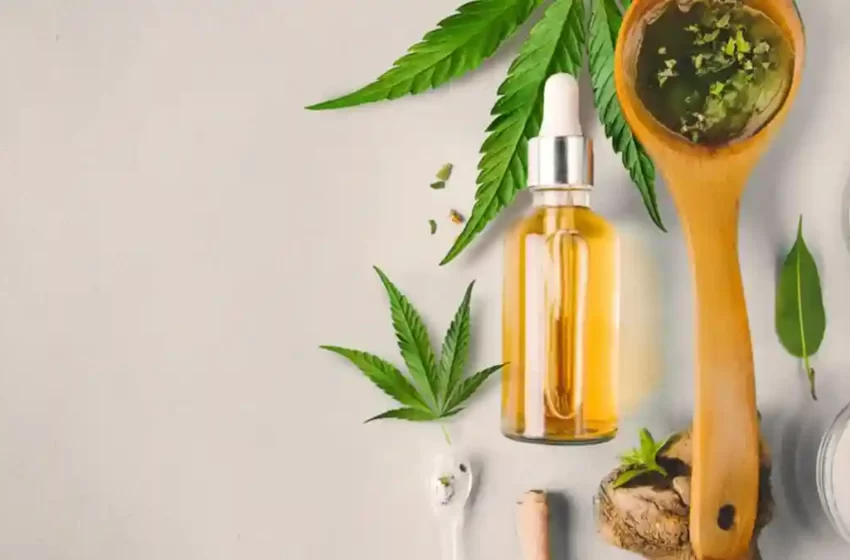  CBD Oil for Children: What You Need to Know