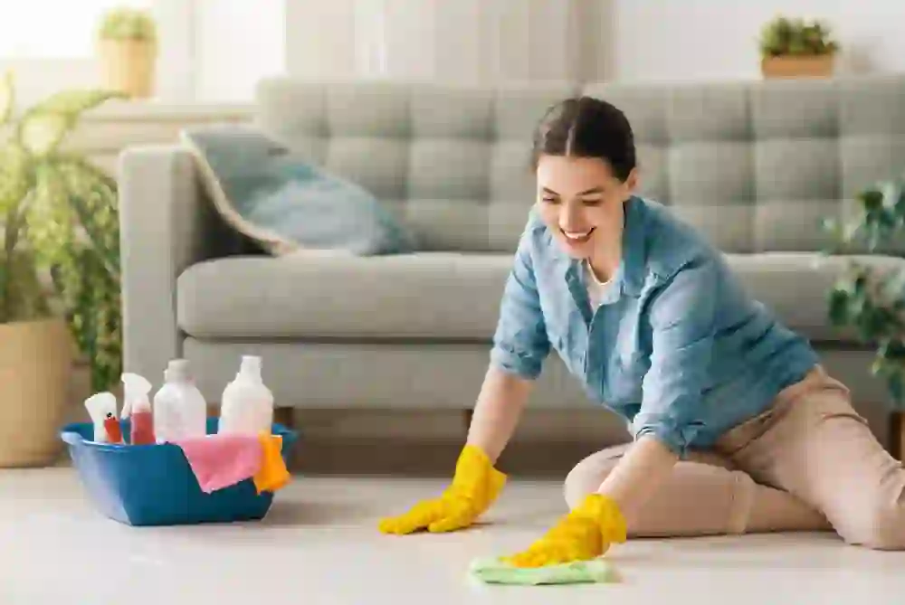 cleaning company